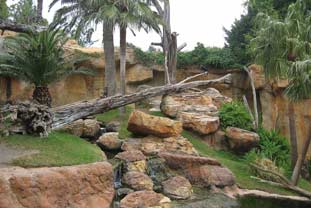 Costa del Sol, bioparc fuengirola zoo