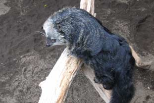 Costa del Sol, bioparc fuengirola zoo