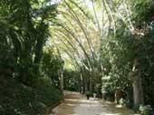 Botanische tuin Malaga