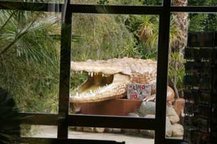 Costa del Sol, crocodile park torremolinos