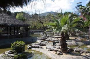 Costa del Sol, crocodile park torremolinos