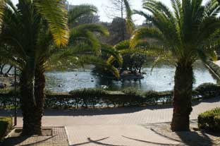 Costa del Sol, Benalmadena paloma park