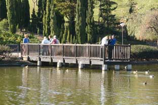 Costa del Sol, Benalmadena paloma park