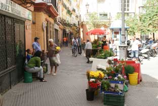 Costa del Sol, Cadiz