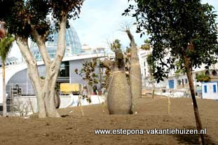 Estepona, Botanische tuin