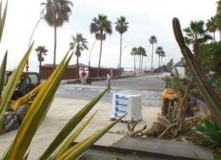 paseo maritimo estepona