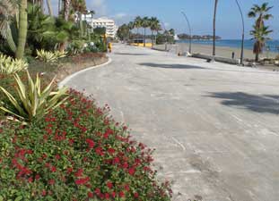 paseo maritimo pedro manrique