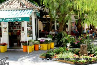 Estepona, Calle Terraza