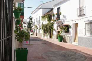 centrum Estepona, Calle Antero