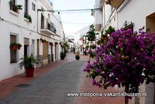 centrum Estepona, Calle Antero