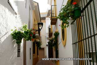 centrum Estepona, Calle Canon