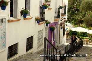 centrum Estepona, Calle Carlos Herrera