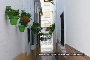 centrum Estepona, Calle Clavel