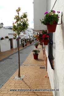 centrum Estepona, Calle Extremadura