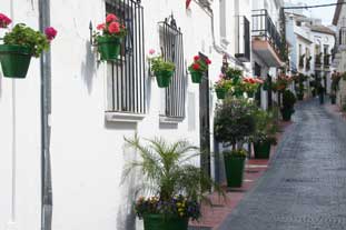 centrum Estepona, Calle Lozano