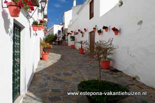 centrum Estepona, Calle Montanes