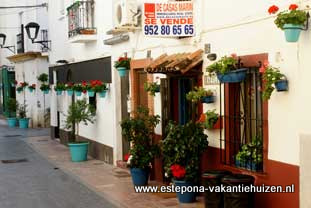 centrum Estepona, Calle Teatro