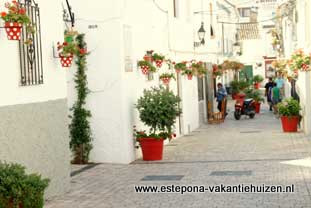 centrum Estepona, Calle Troyano