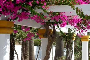 Playa de la Rada Estepona