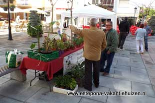 Estepona, zondag markt op Plaza ABC