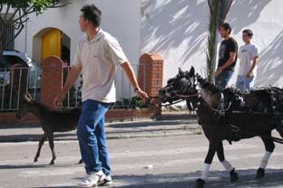 Estepona, San Isidro