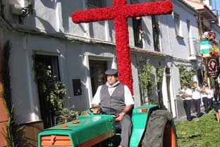 Estepona, San Isidro