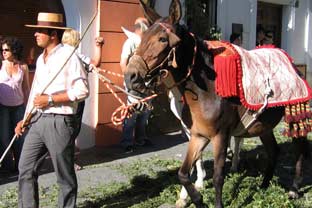 Estepona, San Isidro