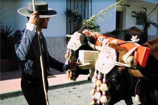 Estepona, San Isidro