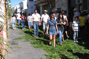 Estepona, San Isidro