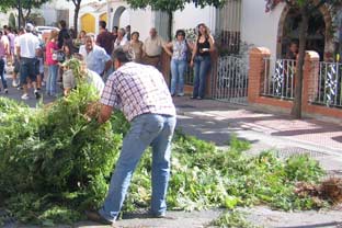 Estepona, San Isidro