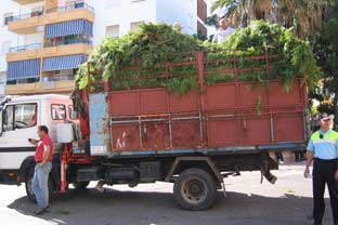 Estepona, San Isidro