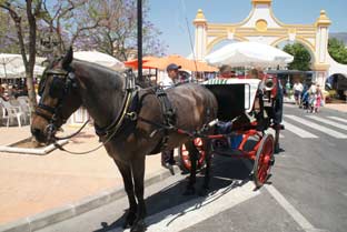 Costa del Sol, Fuengirola