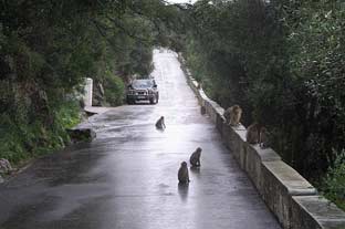 Gibraltar