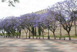 Jerez de la Frontera