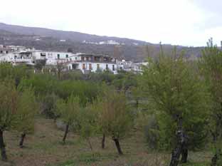 Costa del Sol, La Alpujarra