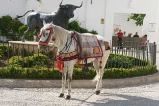 Costa del Sol, Ronda