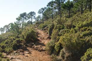 Costa del Sol, Sierra Bermeja