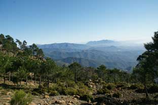 Costa del Sol, Sierra Bermeja